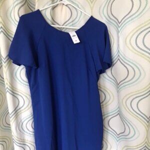 NWT Blue Ann Taylor Dress